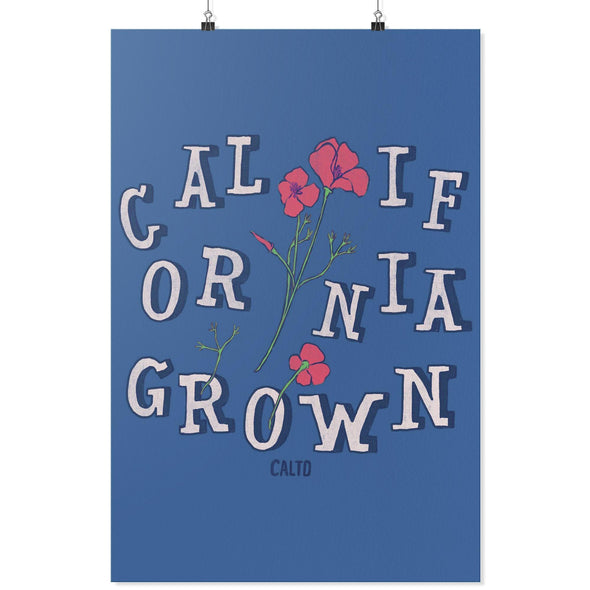 CA Grown Poppies Blue Poster-CA LIMITED