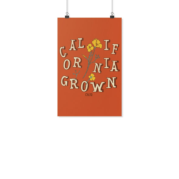 CA Grown Poppies Orange Poster-CA LIMITED