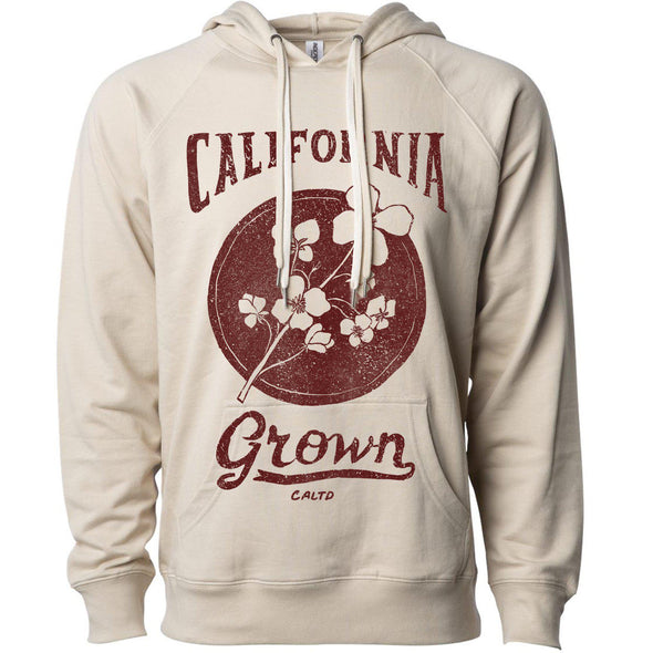 California Grown Circle Raglan Hoodie-CA LIMITED