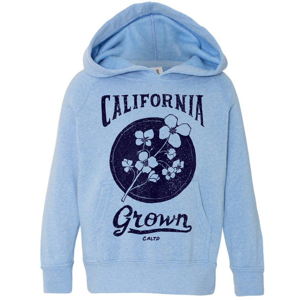 California Grown Circle Raglan Toddlers Hoodie-CA LIMITED