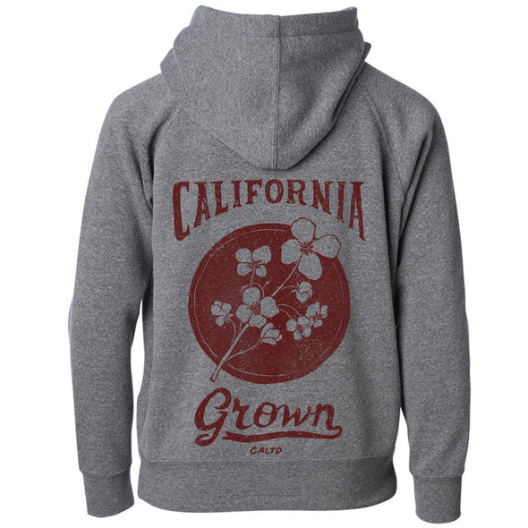 California Grown Circle Raglan Toddlers Zip Up Hoodie-CA LIMITED