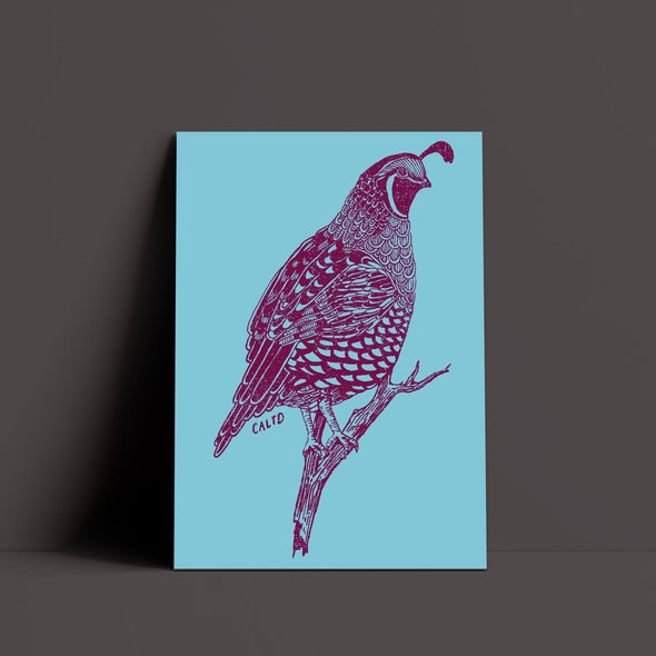 Quail Blue Poster-CA LIMITED