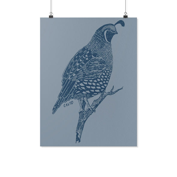 Quail Regent Grey Poster-CA LIMITED